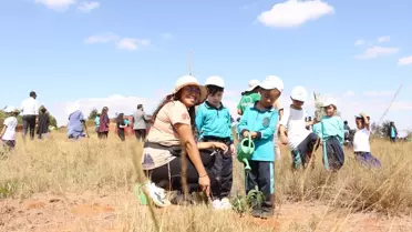 Madagaskar'da Milli Ağaçlandırma Günü'nde fidanlar toprakla buluşturuldu