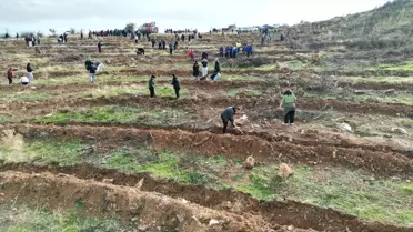 Manisa'da Ağaçlandırma Etkinlikleri