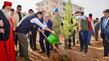 Midyat'ta Ağaçlandırma Etkinliği