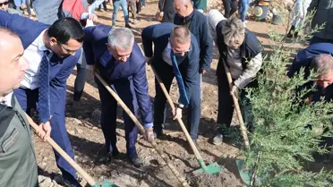 Muğla'da Ağaçlandırma Etkinlikleri