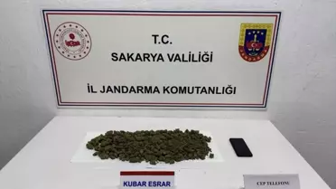 Sakarya'da Kenevir Operasyonu: İki Tutuklama