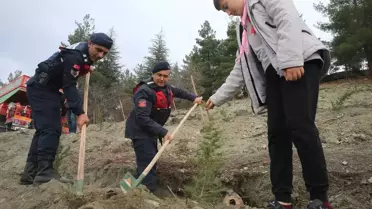 Samsun ve çevre illerde 'Milli Ağaçlandırma Günü' dolayısıyla fidan dikimi yapıldı