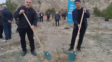 Tosya'da Milli Ağaçlandırma Günü'nde fidan dikimi yapıldı