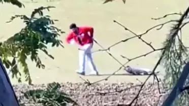 Edirne'de köpeğe eziyet eden belediye personeli gözaltına alındı