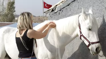 At Yeleklerini Süsleyen Kuaför