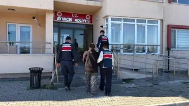 Ayvacık'ta Bebek Cesedi: Kadın Tutuklandı