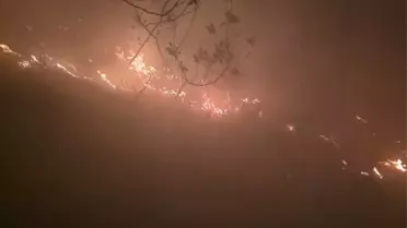 Arsuz'daki Orman Yangını Kontrol Altına Alındı