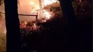 Hatay'da Orman Yangını