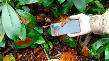 Kaybolan Kadının Cep Telefonu Bulundu