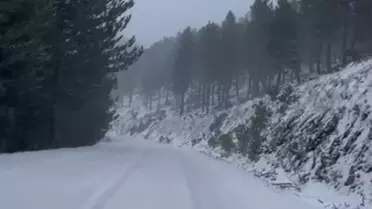 Adana'da Kar Yağışı Etkili Oldu