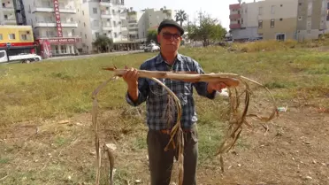 Su bulunca elektrik çarpmışa dönüyor: Ben yapmıyorum Cenabıallah'ın işi
