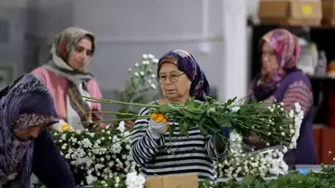 Türkiye'nin Süs Bitkileri İhracatı Artıyor