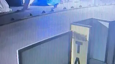 Emekli astsubay, sokak köpeğini tabancayla vurdu