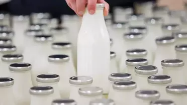 Süt Sektörü, Yerel Güç ve Küresel Vizyon İçin Antalya'da Toplanıyor