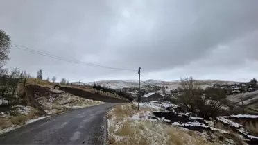 Ahlat'ta Mevsimin İlk Karı Yağdı