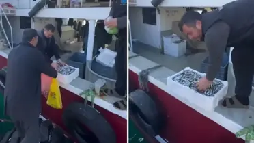 Kasalar dolusu balığı bedava dağıttılar! Nedeni de bir o kadar ilginç