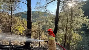 Yangın Kontrol Altına Alındı