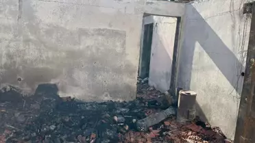 Menemen'de Yangın Faciası: 30 Kedi ile Sahibi Hayatını Kaybetti