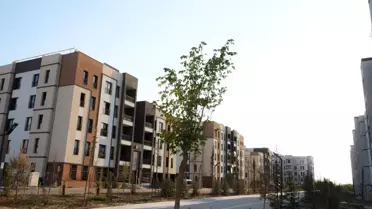 Bakan Kurum: 11 ilimizde mutlu sona çok az kaldı