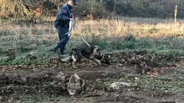 Kaybolan Mantar Tüketicisi Bulundu