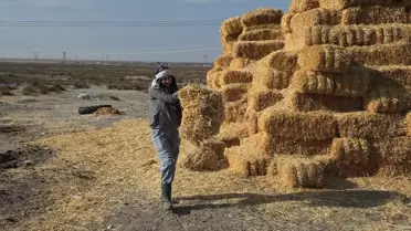 Genç Çiftçi Ayşe'nin Tarıma Adanmış Hayatı