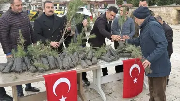 Merzifon'da şehit askerler için fidan dağıtıldı