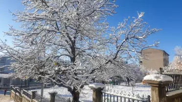 Başkale'de Kar Yağışı Esnafı Sevindirdi