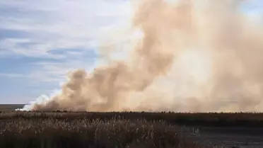 Kulu'da Kuş Cenneti Yangında