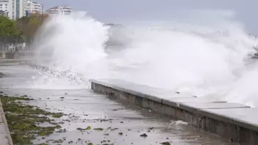 Marmara'da fırtına alarmı! BUDO seferleri iptal edildi