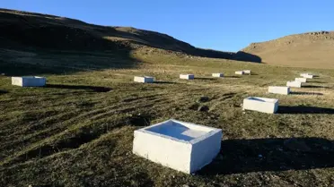 Ağrı'da Hayvancılığa Modern Dokunuş