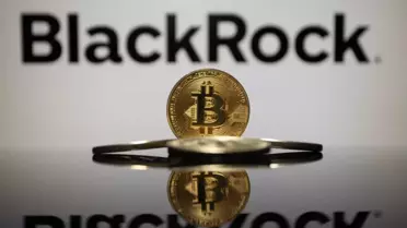 BlackRock'ın Bitcoin ETF'inde 523 milyon dolarlık rekor çıkış