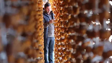 Bahçeli'de Cennet Hurması İle Yenilik