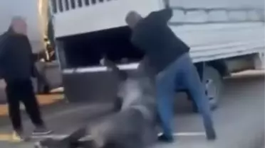 Batman'da Sürüklenen Atın Durumu İyi