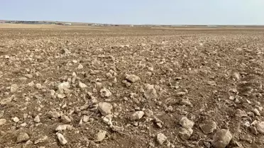 Kırşehir'de 4 Bin Dönüm Tarla Taşları Temizlendi