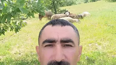 Avcı kurşununun hedefi oldu! Hayatını kaybetti