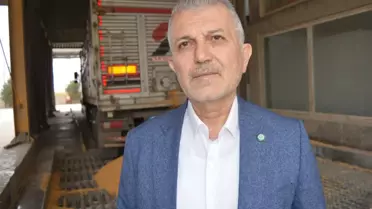 Mardin Ovası'nda Mısır Hasadı Başladı