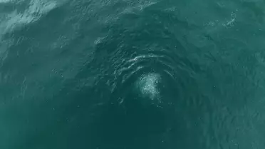 Sapanca Gölü fay hattı boyunca fokur fokur kanıyor! Prof. Dr. Üşümezsoy 'Asıl tehlike' diyerek uyarmıştı