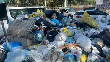 İzmir'de Karasinek Popülasyonu Artıyor