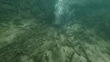 Sapanca Gölü'ndeki Kabarcıklar Su Kalitesine Zarar Vermiyor