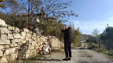 Bucak'ta Kış Ortasında Elma Ağacı Çiçek Açtı