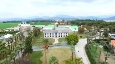 Afro-Türklerden Milletvekili Adaylığı