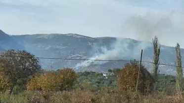 Bozdoğan'da Ziraat Yangını