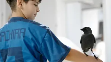 Düzce'de Emekli Uzman Çavuşun Karga Dostluğu