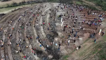 Çocuklar Ormana Fidan Dikti