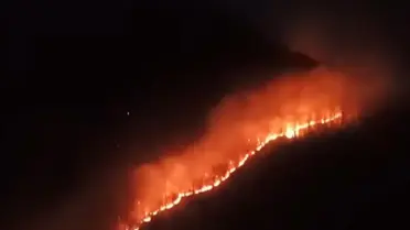 Ordu'da Yangın Ormana Sıçradı