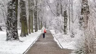 Almanya'da Kar Kazası: 3 Ölü