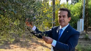 Antalya'da Zeytin Yağı Yarışması