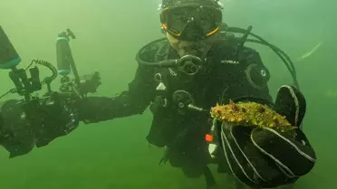 Belediye başkanı dalgıç kıyafeti giydi, dibe indi: Gördüğü manzara şaşırttı