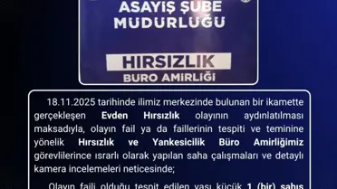 Bingöl'de Hırsızlık Şüphelisi Tutuklandı
