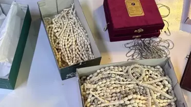 Maltepe'de Yasa Dışı Yaban Hayatı Ürünleri Ele Geçirildi